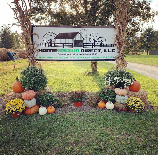 Local Food: From Our Farm to Your Fork